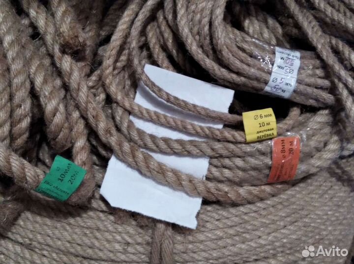 Дубы продам