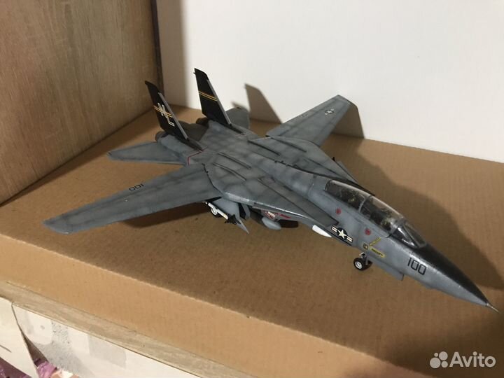 Модель самолета F-14