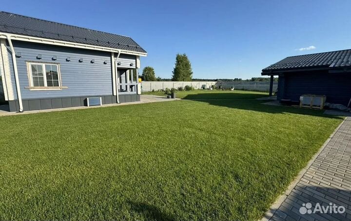 Рулонный газон 