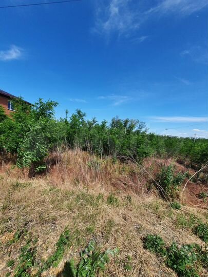 Участок 5 сот. (ИЖС)