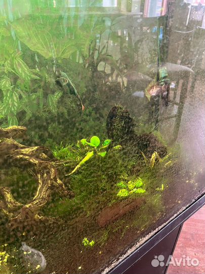 Аквариум на 500 литров