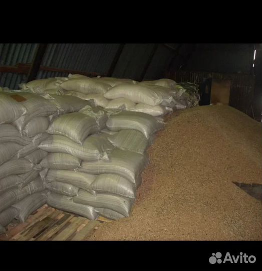 Зерно пшеница ячмень