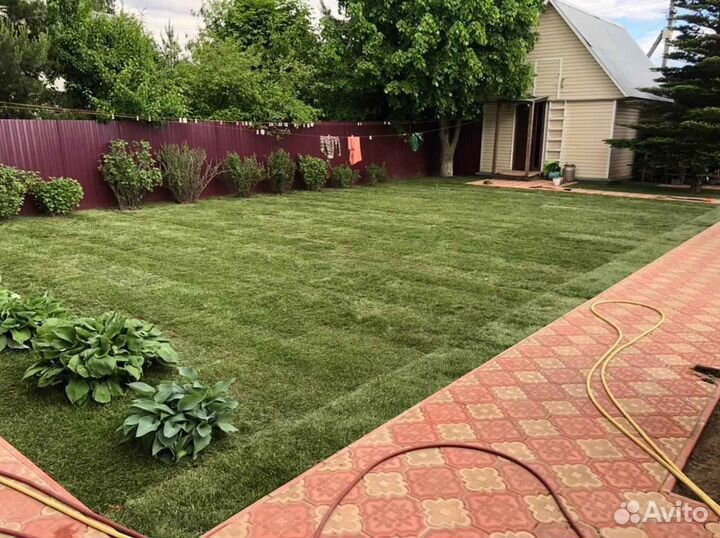 Укладка и продажа газона