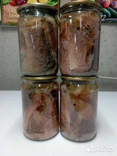 Рыба вяленая домашняя, консерва