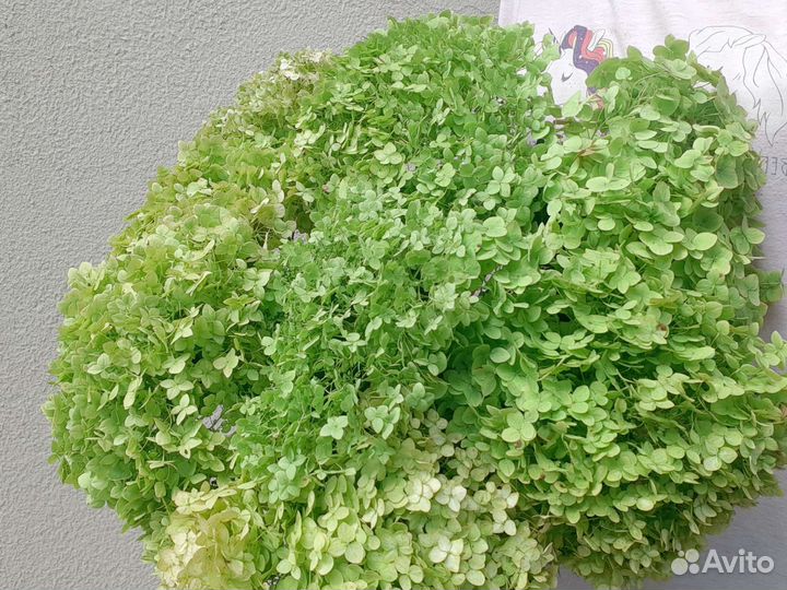 Букет цветов