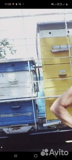 Улий для пчел