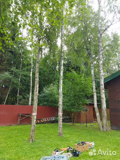 Спил, удаление деревьев по частям, удаление пней