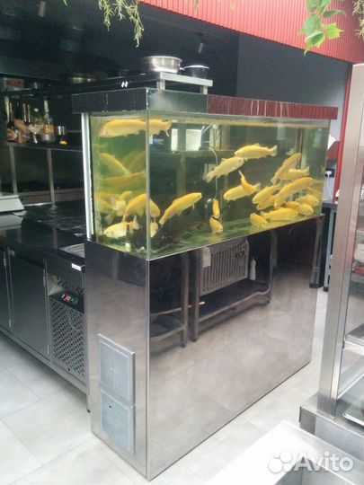 Продаю аквариумы