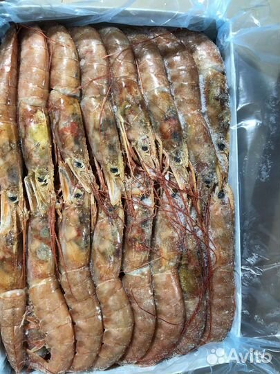 Креветки лангустины 2кг, Креветки Королевские