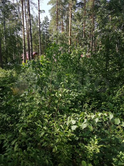 Участок 6 сот. (ИЖС)
