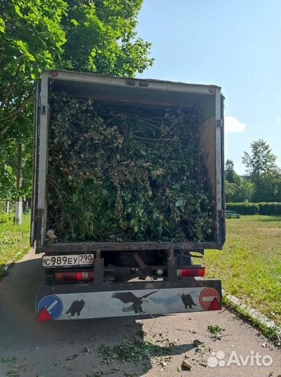 Вывоз мусора, расчитка участка, демонтаж уборка