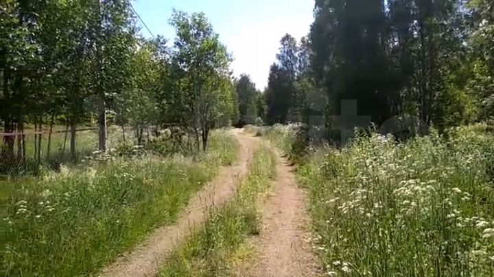 Участок 20 сот. (СНТ, ДНП)