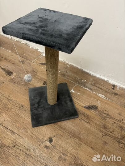 Когтеточка для кошек