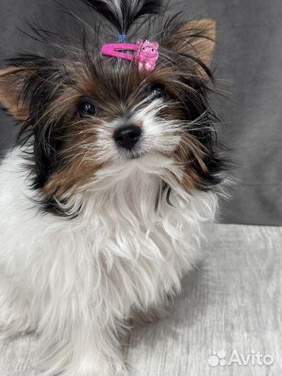 Девочка мини