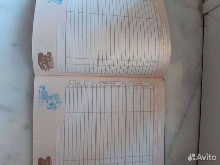 Дневник школьника