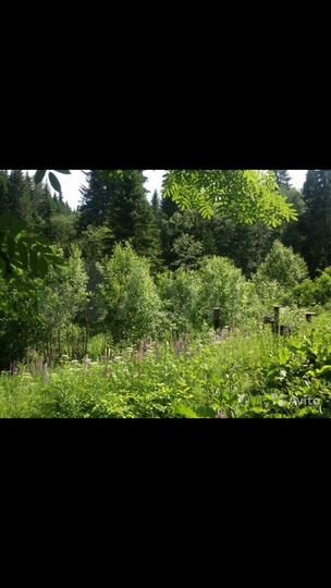 Участок 5,9 га (СНТ, ДНП)