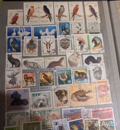 Альбом с марками