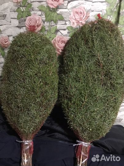 Веники березовые для бани