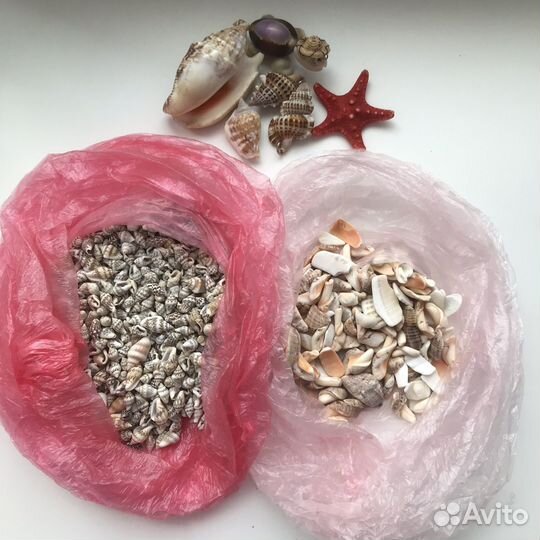 Материалы для творчества, ракушки, бусины