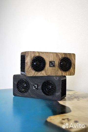 Беспроводная колонка «Тенор»