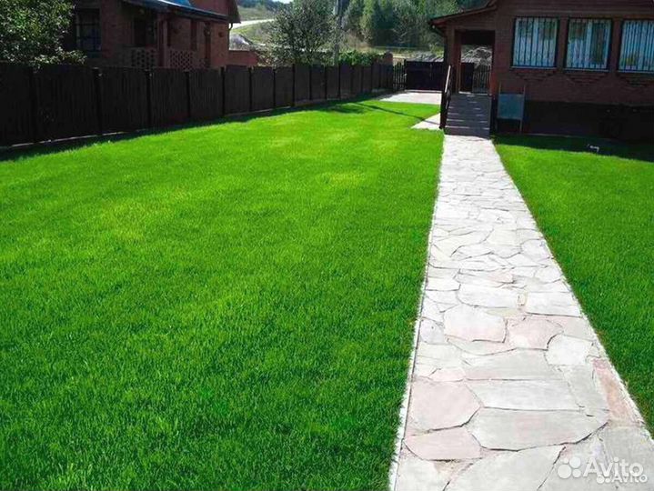 Рулонный газон (укладка, обслуживание)