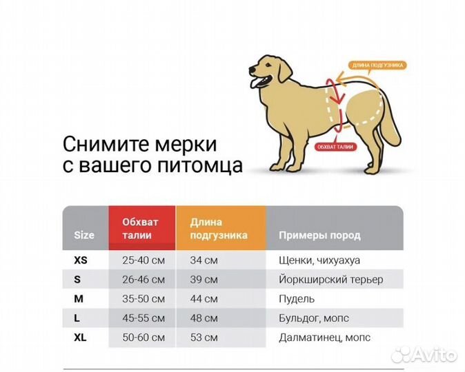 Подгузники для собак pet soft M