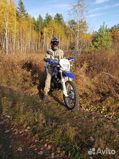 Irbis ttr250
