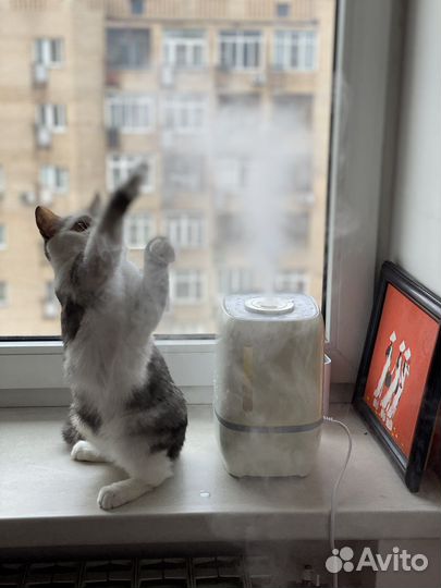 Увлажнитель воздуха supra