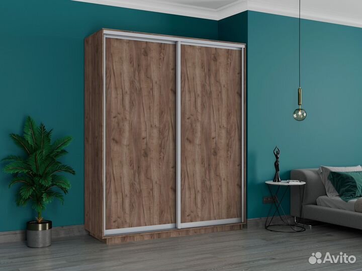 Шкаф-купе «Экспенс» 2-х дверный от производителя