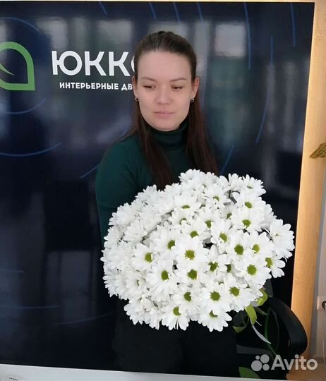 Хризантемы