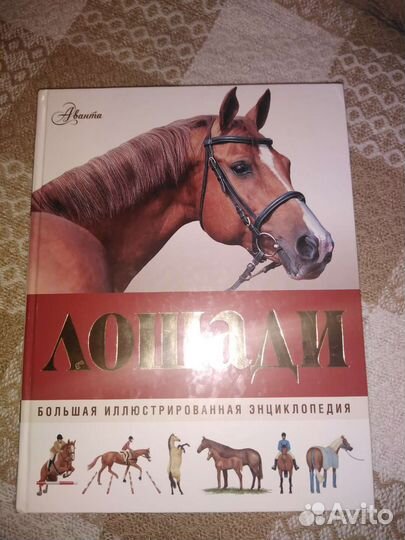 Книга для детей и подростков. Энциклопедия Лошади
