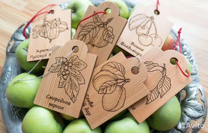 Табличка для сада - Вишня Владимирская