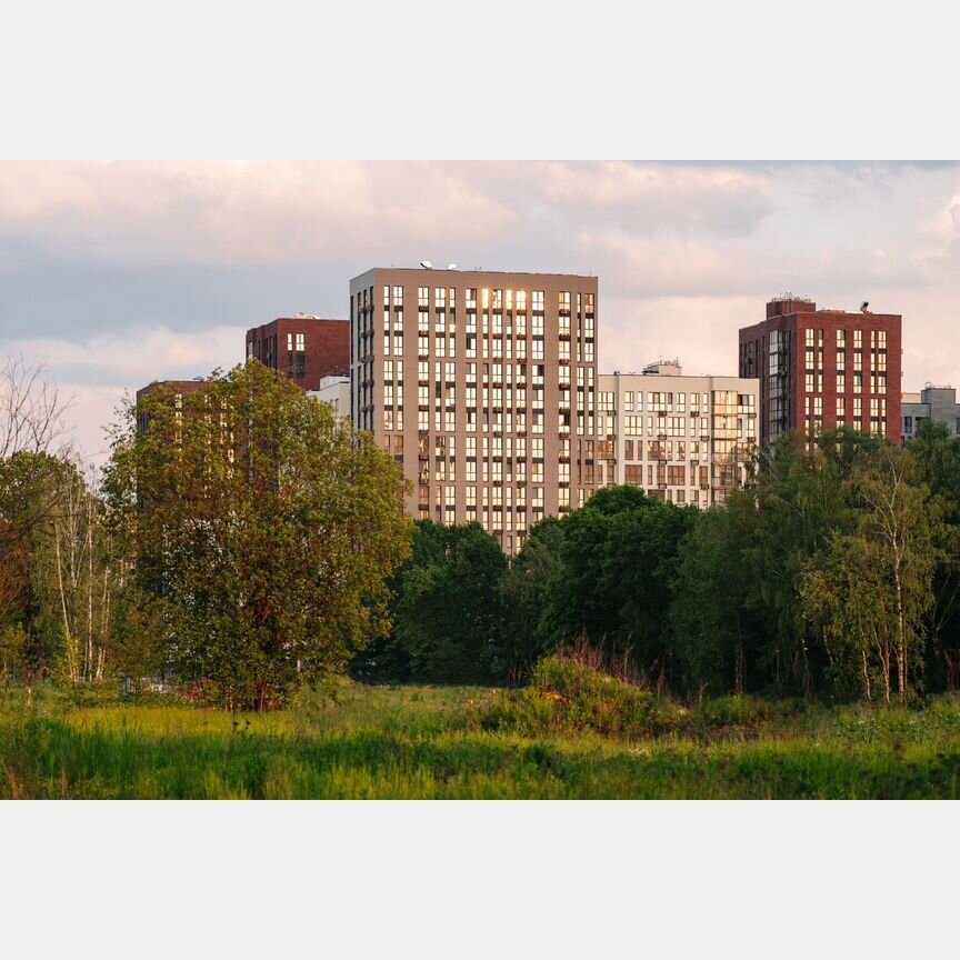 2-к. квартира, 52,2 м², 7/19 эт.