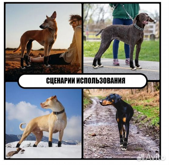 Ботинки для собак