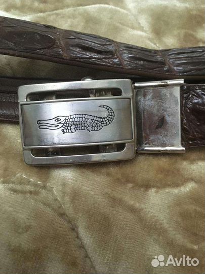 Ремень мужской из крокодиловой кожи