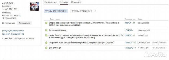 Sailun Ice Blazer Arctic 205/55 R17 91T