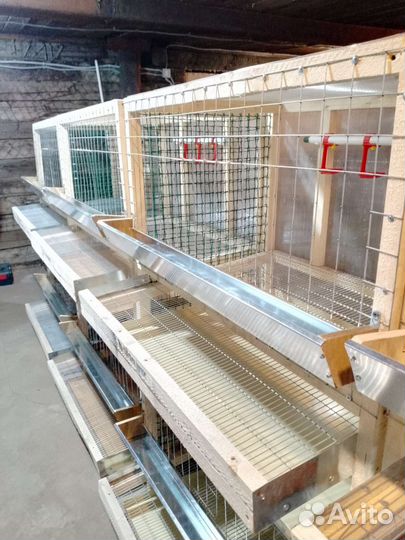 Клетка 2х ярусная для кур несушек