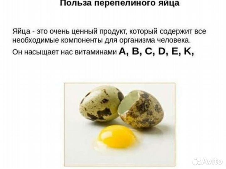 Яйца перепелиные домашние