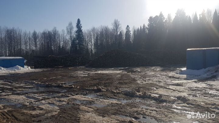 Лес кругляк пиловочник