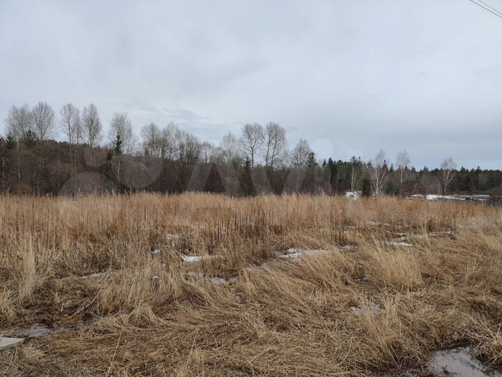 Участок 32 сот. (ИЖС)