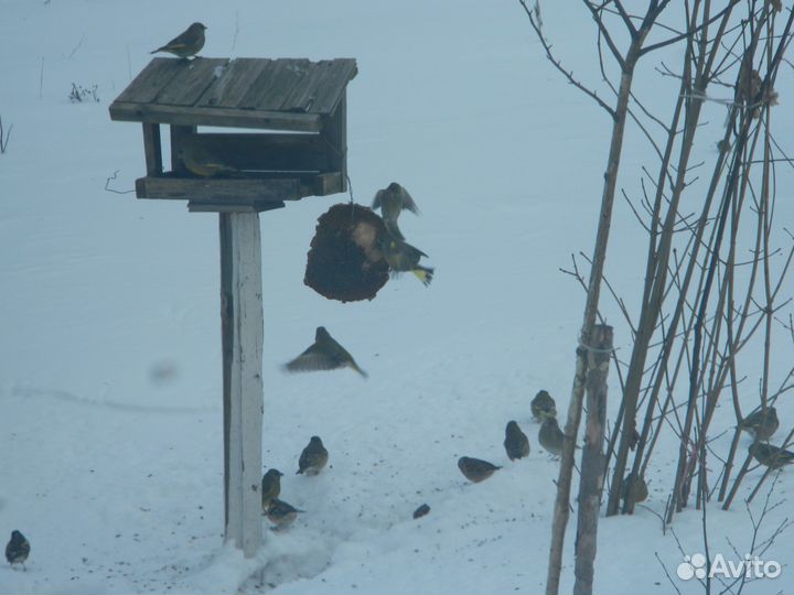 Скворечники, кормушки и другие изделия из дерева