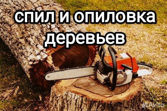 Спил деревьв