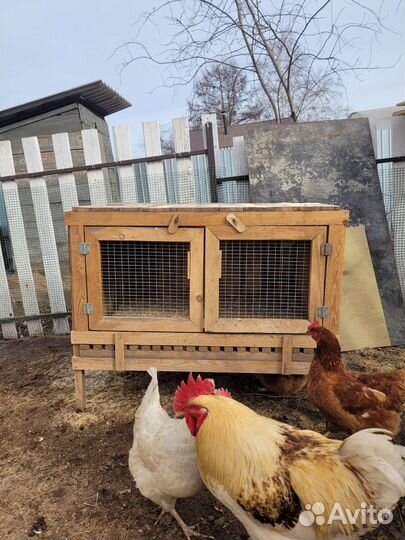 Брудер для цыплят, клетка для кроликов