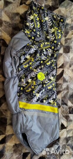 Бассет хаунд