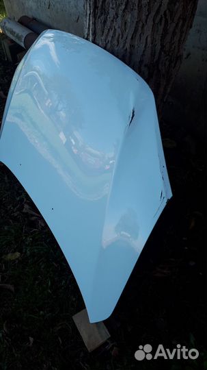 Капот гранта