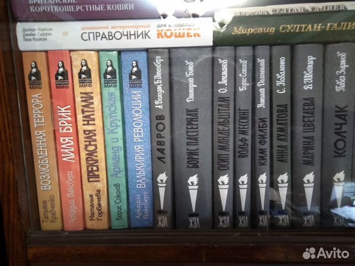 Серия жзл Лучшие биографии