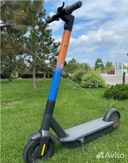 Электросамокаты Ninebot для кикшеринга
