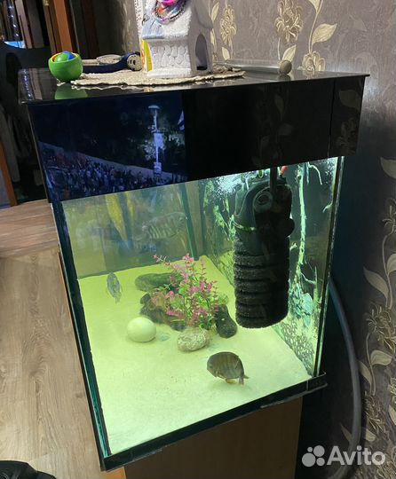 Аквариум