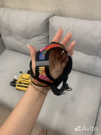 Шлейка для животных