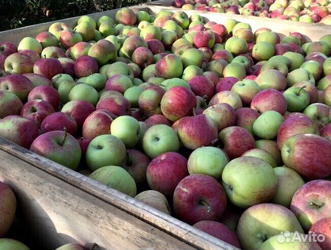 Требуется Сборщик